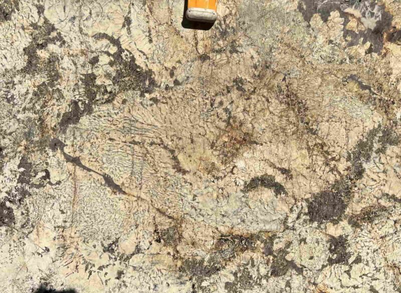 Granite Champagne Gold
