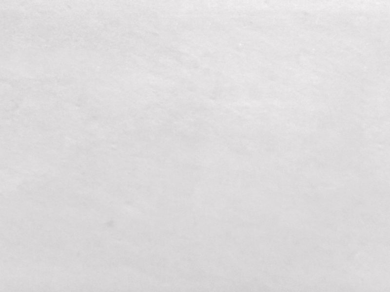 Alaskan White